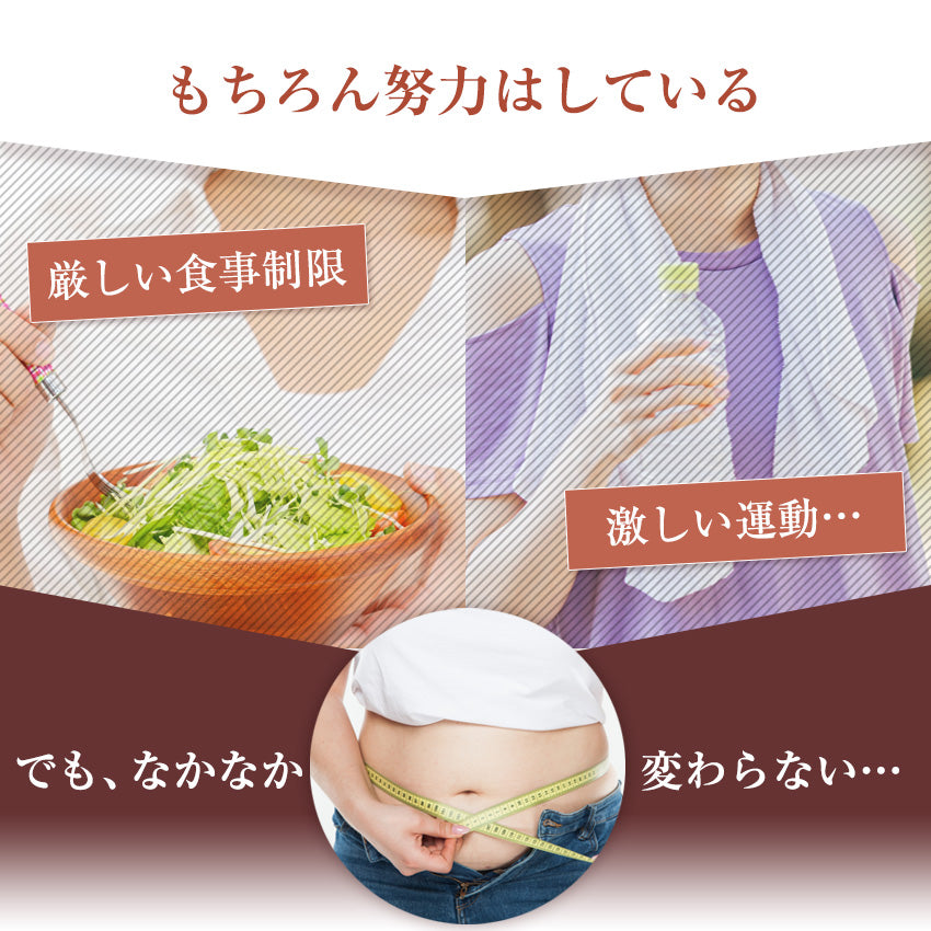 ウエストニッパー コルセット ホック付きタイプ