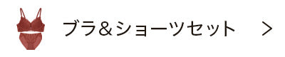ブラジャー＆ショーツセット