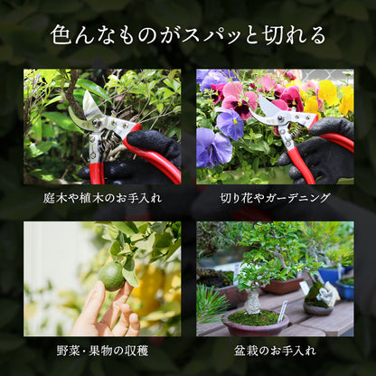 B型剪定鋏 匠斬 タクミザン