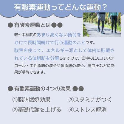 フィットネスバイク
