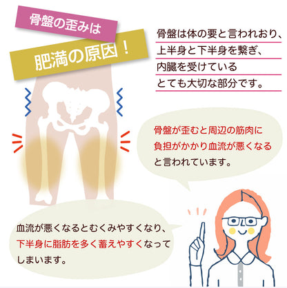 骨盤ベルト ホックタイプ 骨盤サポーター