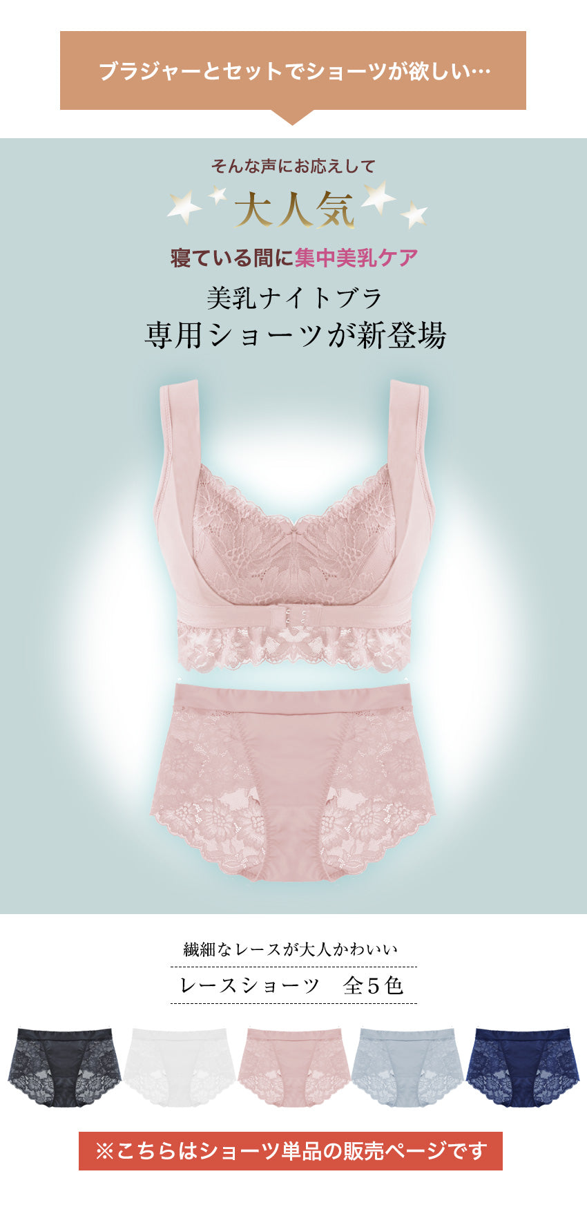 美乳ナイトブラ専用 レースショーツ