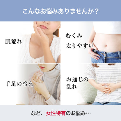 シルクコットン腹巻 シームレス製法 冷え対策 温活